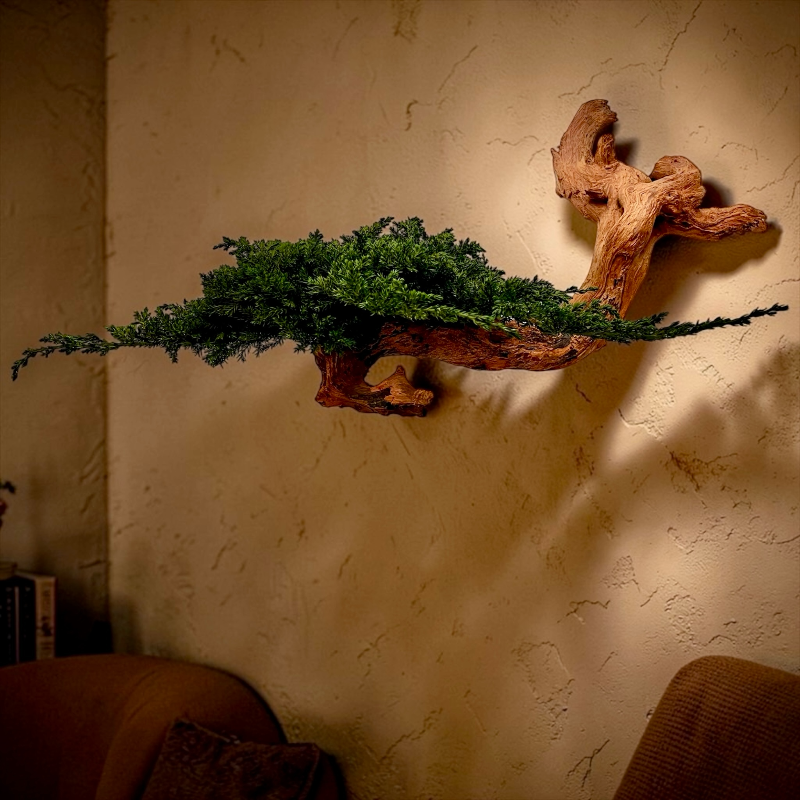 BONSAI JUNIPERUS PRESERVADO AEREO 1